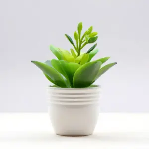 Table Plant Pot (Plastic)