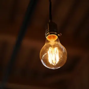 Hanging Light Bulb Decor